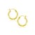 Classic Hoop Earrings in 10k Yellow Gold (2x15mm)