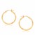Diamond Cut Hoop Earrings in 14K Yellow Gold (25mm Diameter)
