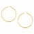 Classic Hoop Earrings in 10k Yellow Gold (2x45mm)