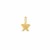14k Yellow Gold Mini Star Charm