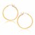 Classic Hoop Earrings in 14k Yellow Gold (1.5x25mm)