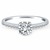 Engagement Ring Mounting with Pave Diamond Band in 14k White Gold