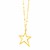 14k Yellow Gold Necklace with Star Pendant