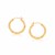 Medium Width Diamond-Cut Hoop Earring in 14k Yellow Gold (3x25mm)