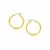 Classic Diamond Cut Hoop Earrings in 10k Yellow Gold (2x15mm)