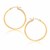 Classic Hoop Earrings in 10k Yellow Gold (1.5x25mm)