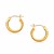 Fancy Diamond Cut Hoop Earrings in 14k Yellow Gold (5/8 inch Diameter)