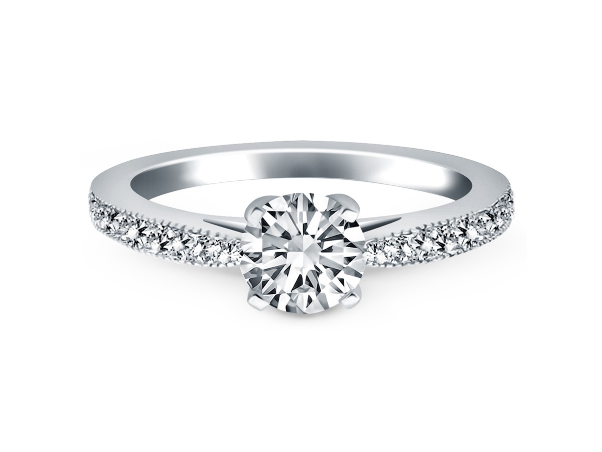 Diamond Pave Cathedral Engagement Ring In 14k White Gold Richard